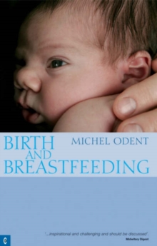 Image for Birth and Breastfeeding