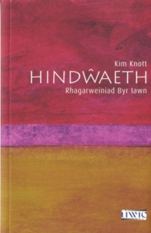 Image for Hindwaeth - Rhagarweiniad Byr Iawn