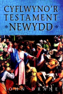 Image for Cyflwyno'r Testament Newydd