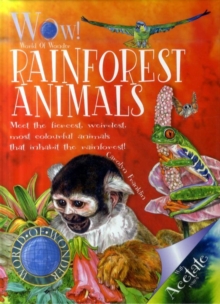 Image for Rainforest Animals