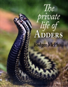 Private Life of Adders