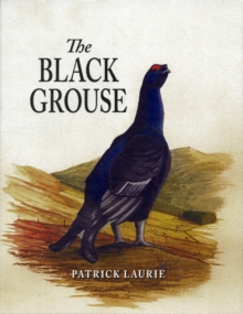 Image for The black grouse