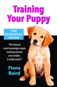 Training Your Puppy: The Essential Guide