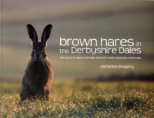 Brown Hares in the Derbyshire Dales: The Story of One of the Peak District’s Most Enigmatic Mammals