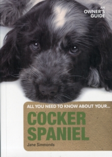 Cocker Spaniel: An Owner’s Guide