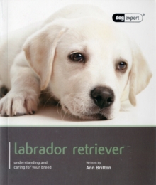Image for Labrador - Dog Expert