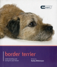 Border Terrier – Dog Expert