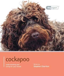 Cockapoo – Dog Expert