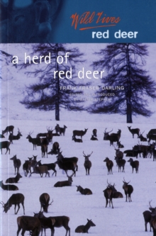 Image for A herd of red deer  : a study of animal behaviours
