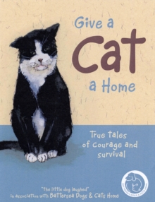 Give a Cat a Home
