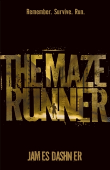 Image for The maze runner