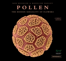 Image for Pollen  : the hidden sexuality of flowers