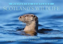 Image for Scotland's Wildlife: Picturing Scotland