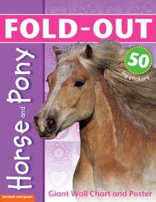 Image for Fold-Out Poster Sticker Book: Horse & Pony