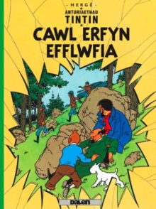 Image for Cyfres Anturiaethau Tintin: Cawl Erfyn Efflwfia