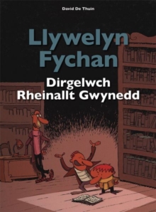 Image for Llywelyn Fychan: Dirgelwch Rheinallt Gwynedd