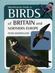 Image for Identification Guide to Birds of Britain and Northern Europe