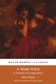 Image for A Welsh witch: a romance of rough places