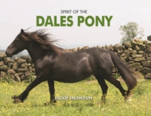 Image for Spirit of the Dales Pony