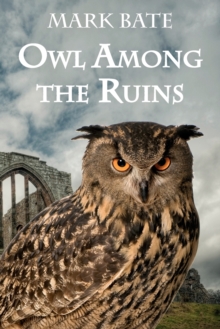 Image for Owl Among the Ruins
