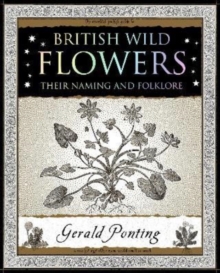 Image for British Wild Flowers