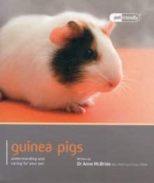 Guinea Pig – Pet Friendly