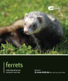 Image for Ferrets  : understanding and caring for your pet