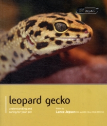 Leopard Gecko – Pet Expert: Understanding and Caring for Your Pet