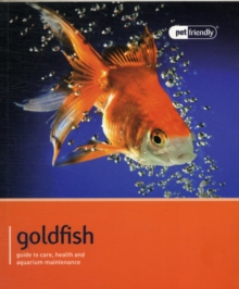 Goldfish – Pet Friendly: Understanding and Caring for Your Pet