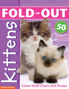 Image for Fold-Out Poster Sticker Book: Kittens