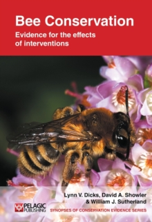 Image for Bee Conservation