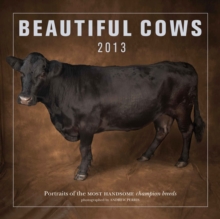 Image for Beautiful Cows 2013