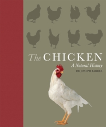 Image for The chicken  : a natural history