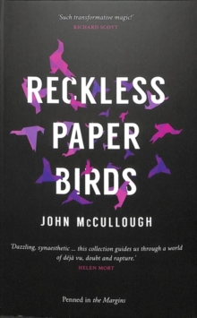 Image for Reckless Paper Birds