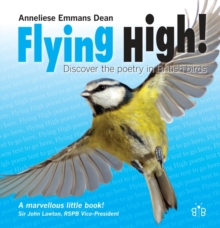 Image for Flying high!  : discover the poetry in British birds