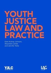 Image for Youth Justice Law and Practice