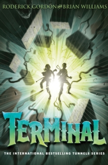 Image for Terminal