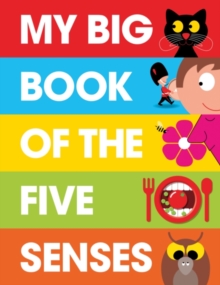 Image for My big book of the five senses