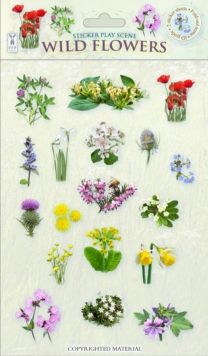 Wild Flowers