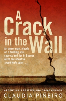 Image for A crack in the wall
