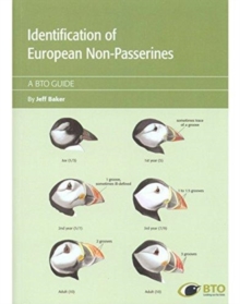 Image for Identification of European non-passerines