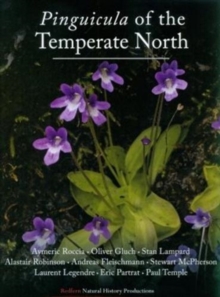 Image for Pinguicula of the Temperate North