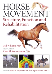 Image for Horse movement  : structure, function and rehabilitation