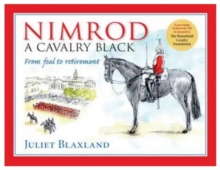 Nimrod: a Cavalry Black