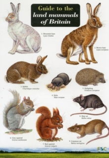 Image for Guide to the Land Mammals of Britain