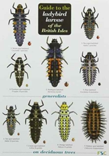 Image for Guide to the Ladybird Larvae of the British Isles