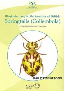 Image for Illustrated Key to the Families of British Springtails (Collembola)