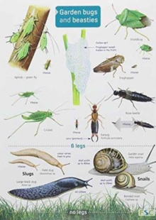 Image for Garden Bugs and Beasties