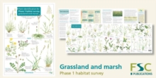 Image for Plant identification for phase 1 habitat survey  : grassland and marsh