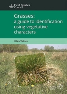 Image for Grasses: a guide to identification using vegetative characters